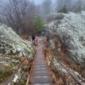 Phone - IMG_9644