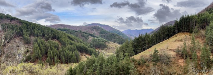 Phone - IMG_8766
