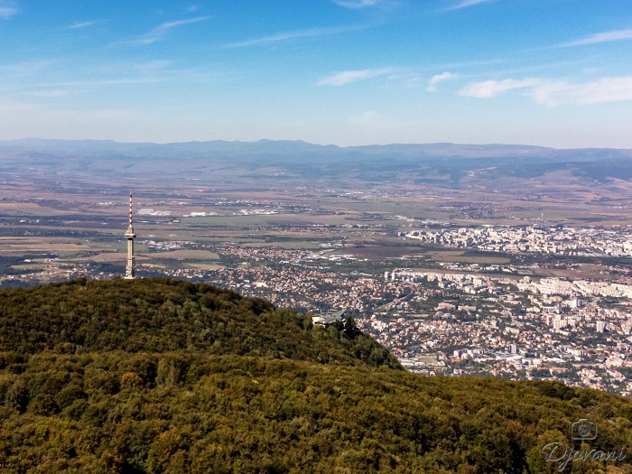 From a bird's eye view