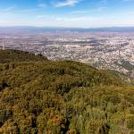 From a bird's eye view