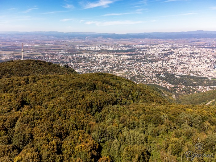 From a bird's eye view