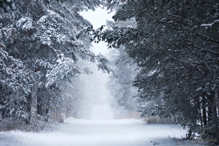 хижа Върховръх 5