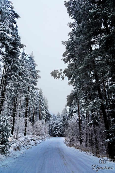 хижа Върховръх 1